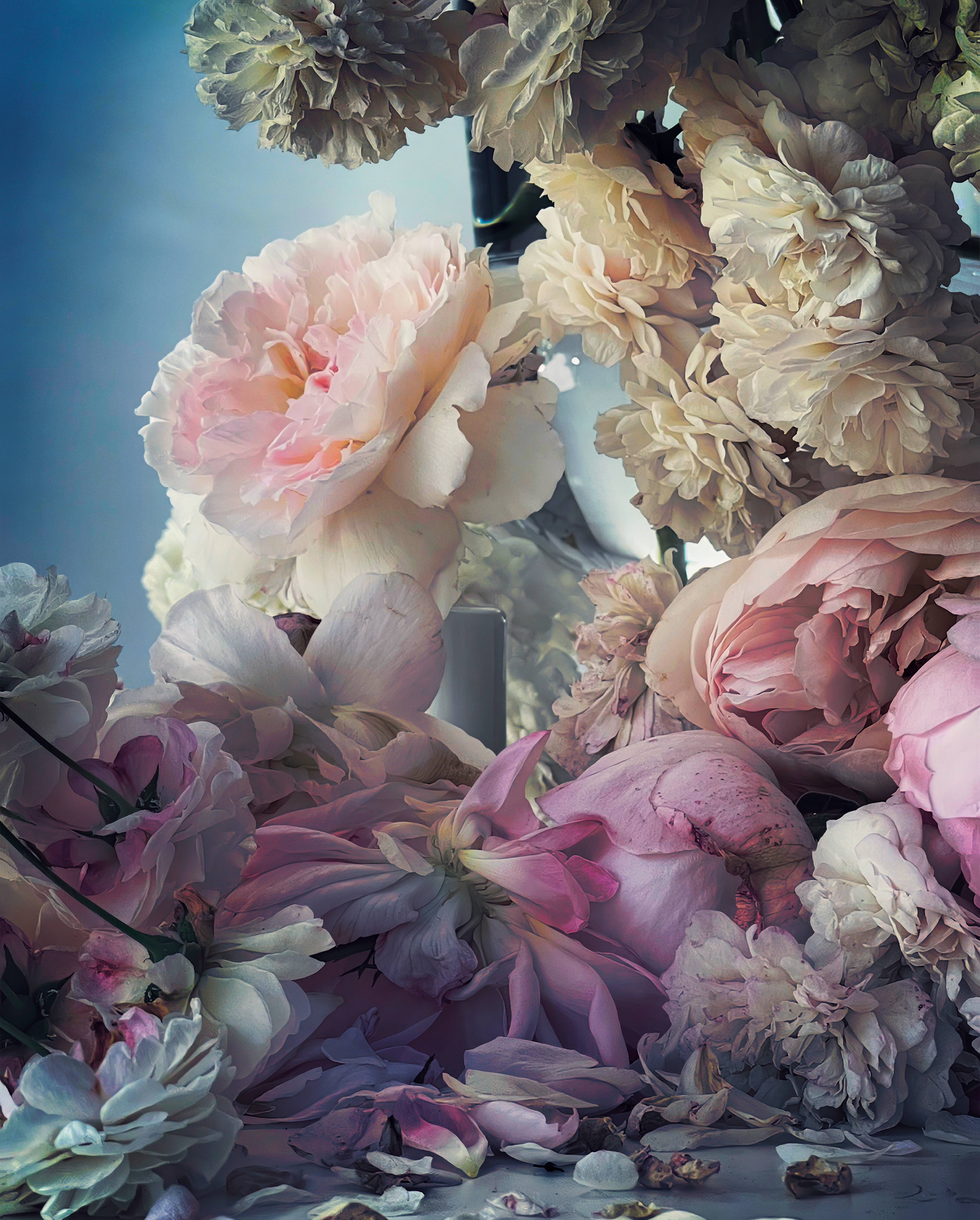 Numéro entrevista: Nick Knight