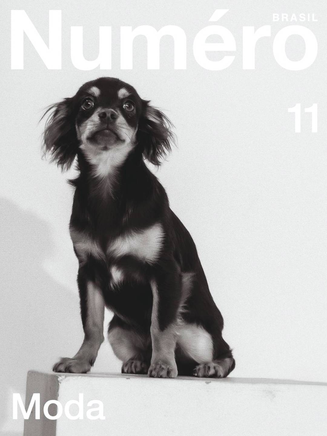 Explore as capas da Numéro Brasil 11, edição MODA.